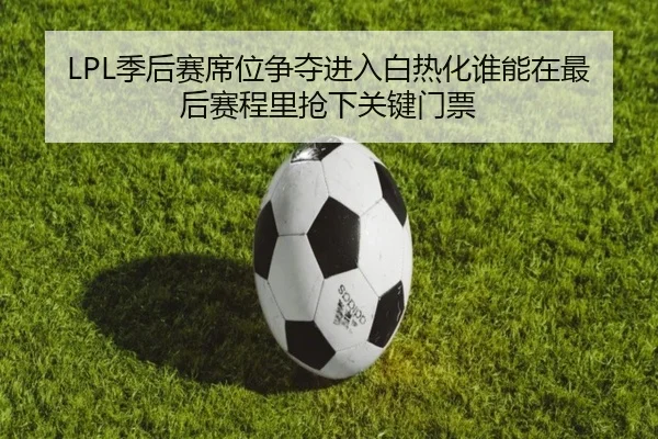 img_1781001300648_92_2_678.jpg
